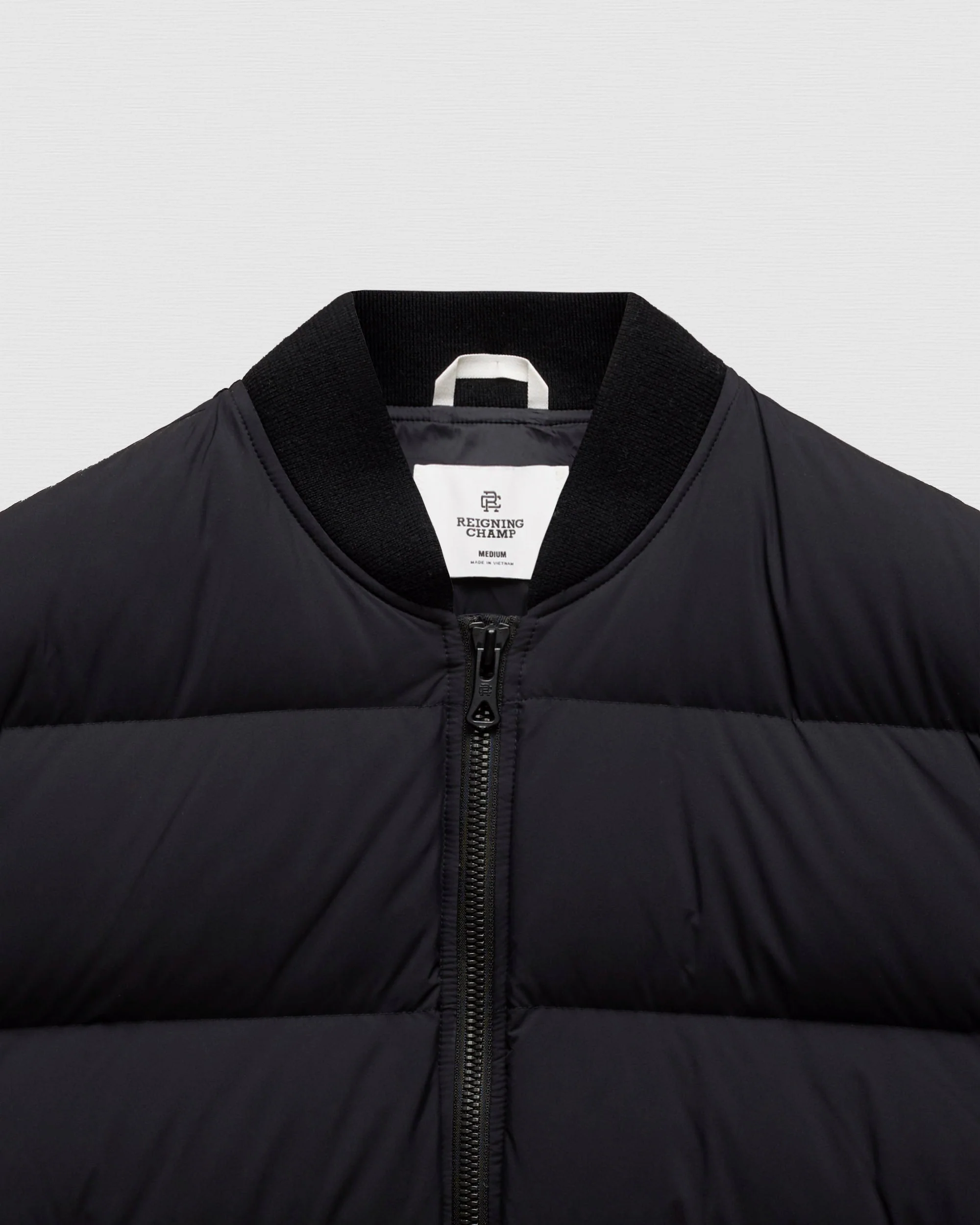 Matte Ripstop Forum Down Jacket - Image 9